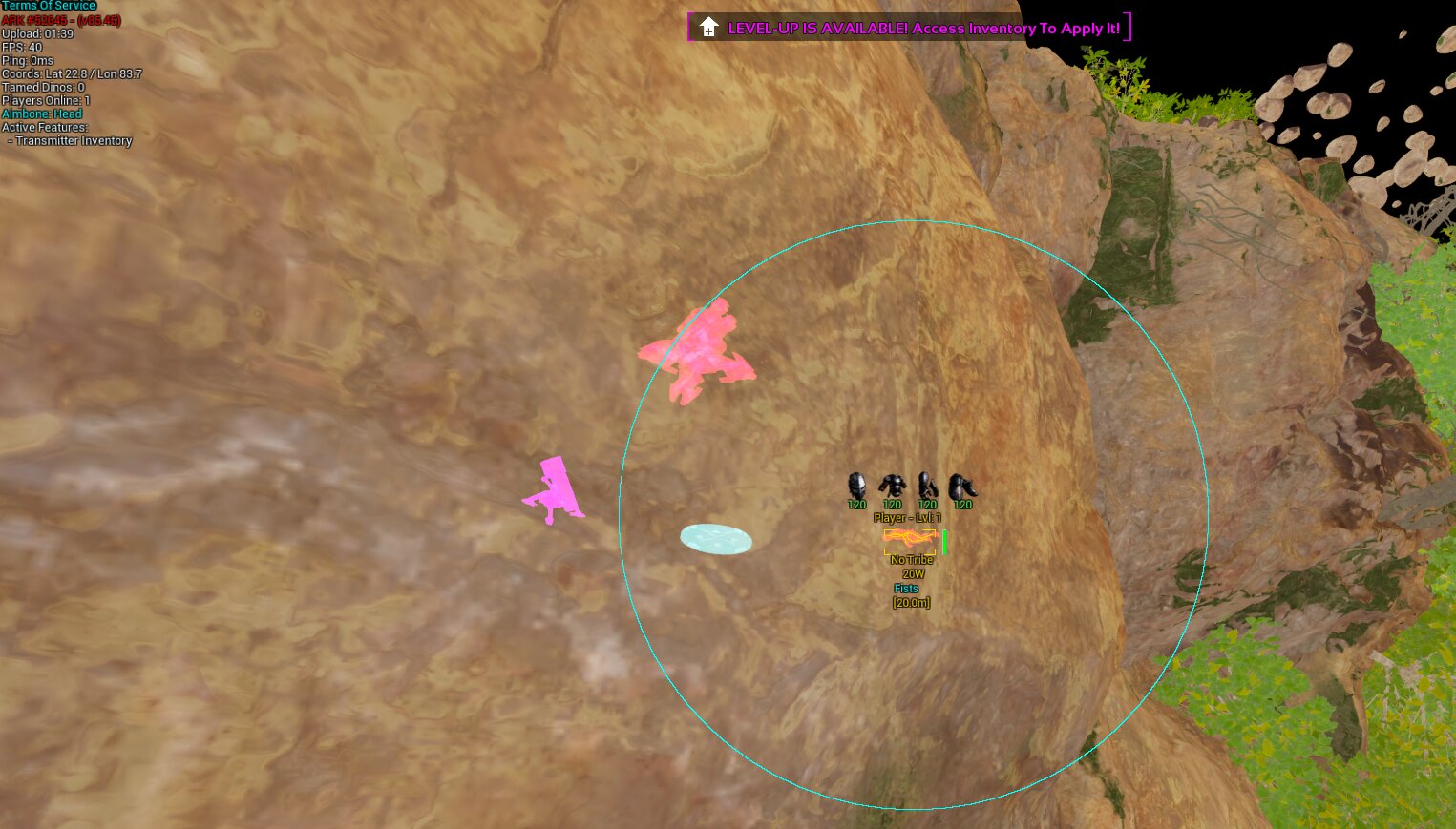 Ark Survival Ascended Private